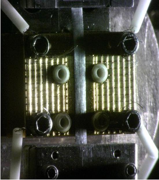 Accelerated irradiation creep testing coupled with self-adaptive accelerated molecular dynamics simulations for scalability analysis